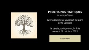 carroussel pratique
