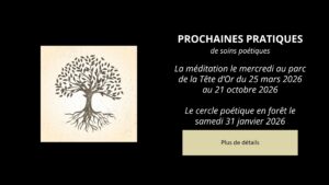 les pratiques de 2026